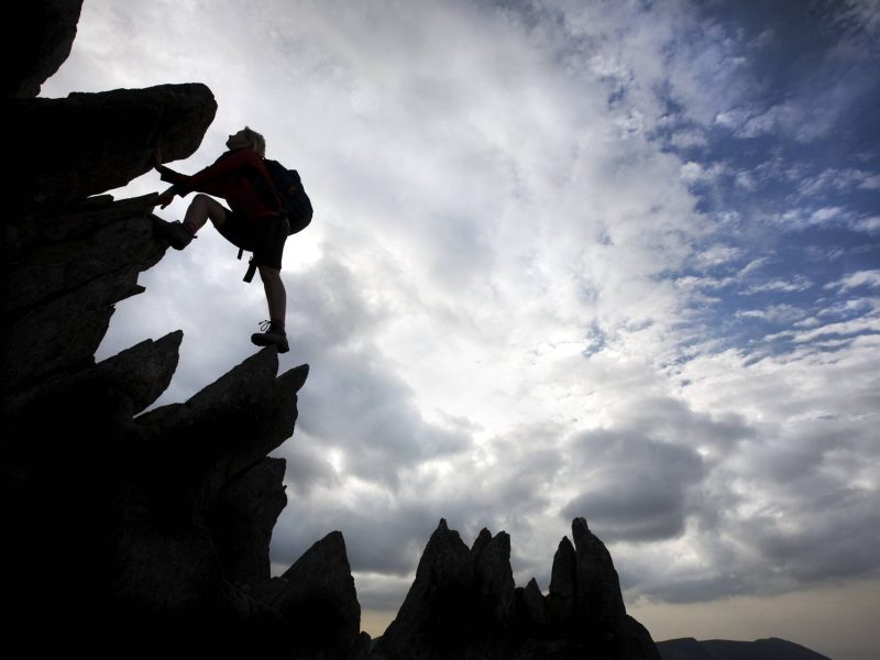Bristly ridge.1 copy