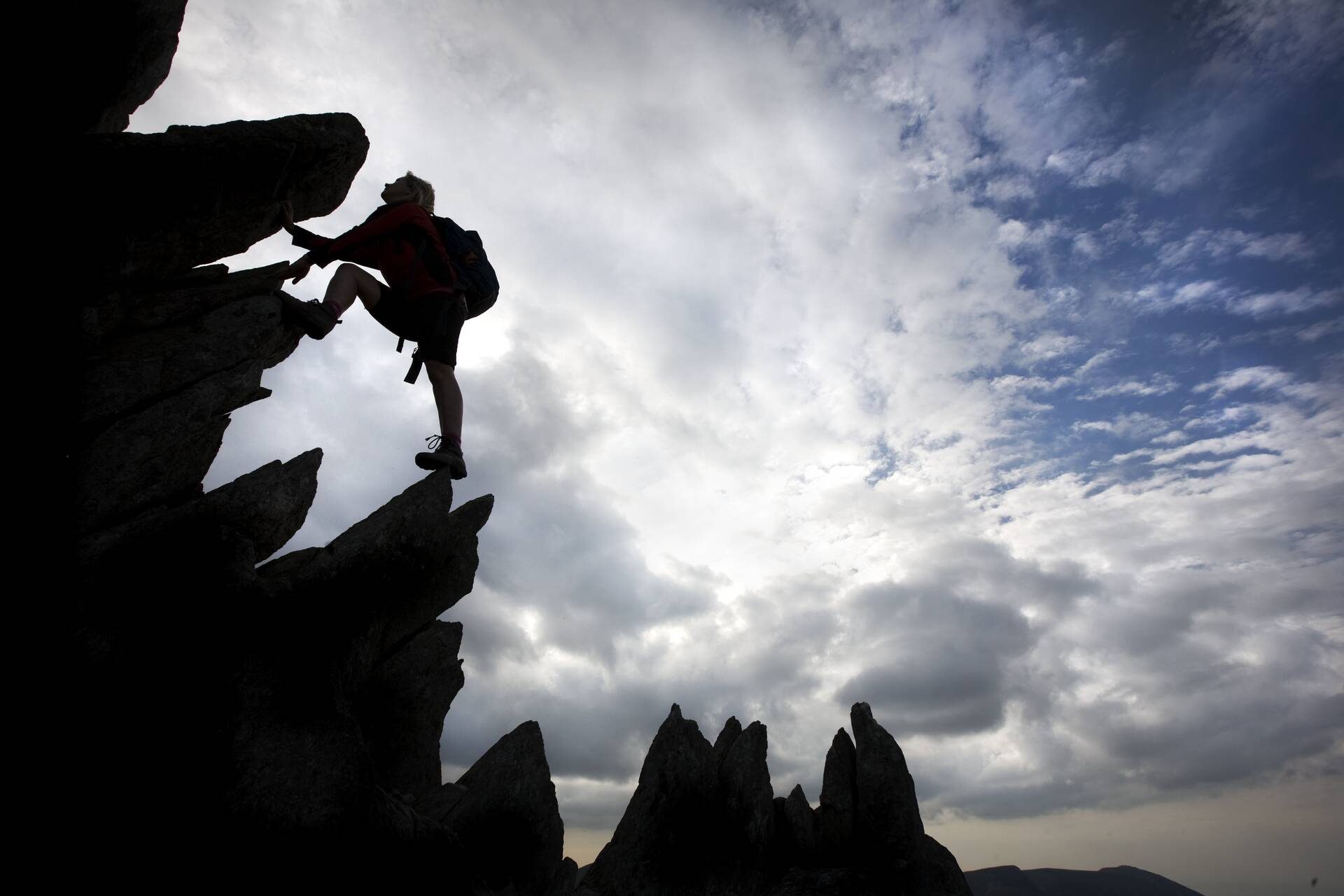 Bristly ridge.1 copy